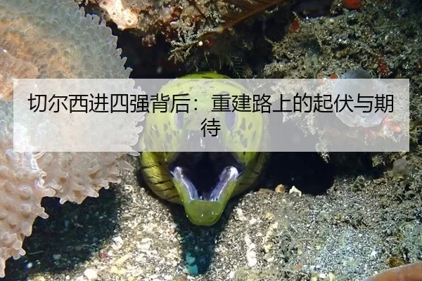 切尔西进四强背后：重建路上的起伏与期待 | AYX